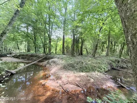 Summit Drive, Summit, MS 39666