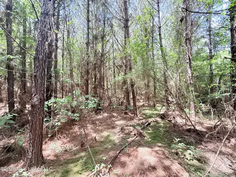 Summit Drive, Summit, MS 39666 photo 19