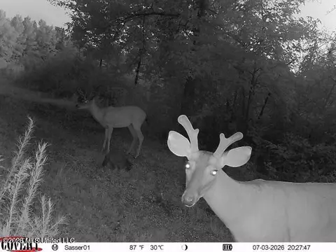 Summit Drive, Summit, MS 39666 photo 28