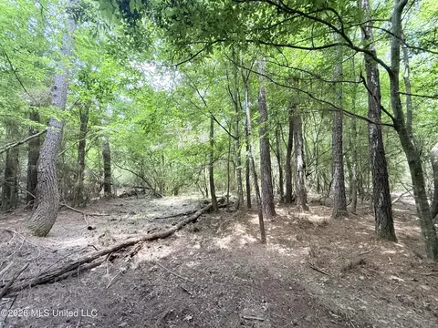 Summit Drive, Summit, MS 39666 photo 11