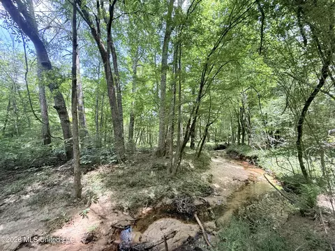 Summit Drive, Summit, MS 39666 photo 13