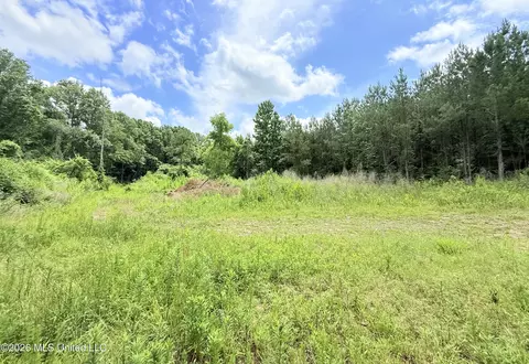 Summit Drive, Summit, MS 39666 photo 5