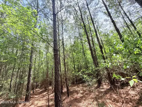Summit Drive, Summit, MS 39666 photo 21