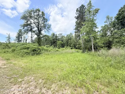 Summit Drive, Summit, MS 39666 photo 3