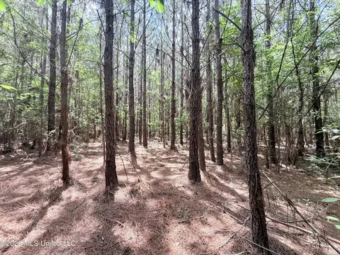 Summit Drive, Summit, MS 39666 photo 20
