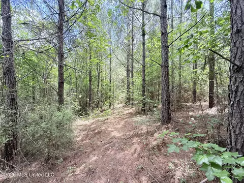 Summit Drive, Summit, MS 39666 photo 18