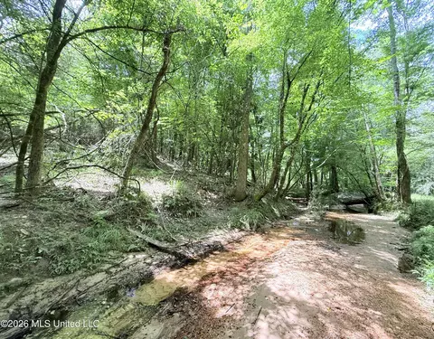 Summit Drive, Summit, MS 39666 photo 14