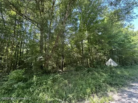 Lower Gloster Road, Crosby, MS 39633 photo 3