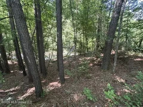 Lower Gloster Road, Crosby, MS 39633 photo 6