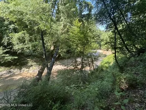 Lower Gloster Road, Crosby, MS 39633 photo 8