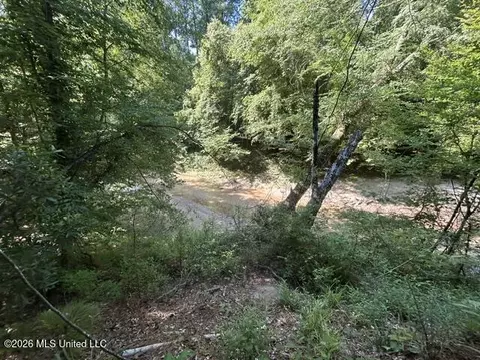 Lower Gloster Road, Crosby, MS 39633 photo 7