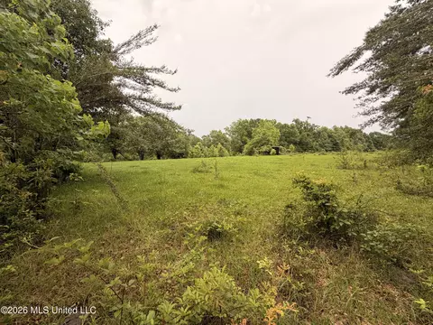 82 Sandpiper Rd, Roxie, MS 39661 photo 4