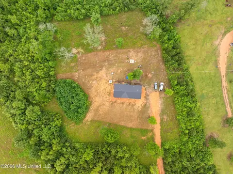 3167 NE Bahalia Rd, Wesson, MS 39191 photo 33