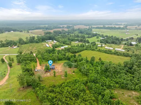 3167 NE Bahalia Rd, Wesson, MS 39191 photo 35