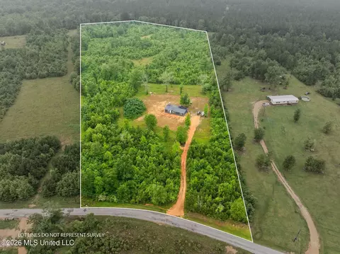 3167 NE Bahalia Rd, Wesson, MS 39191 photo 34