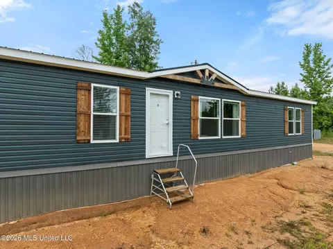 3167 NE Bahalia Rd, Wesson, MS 39191 photo 4