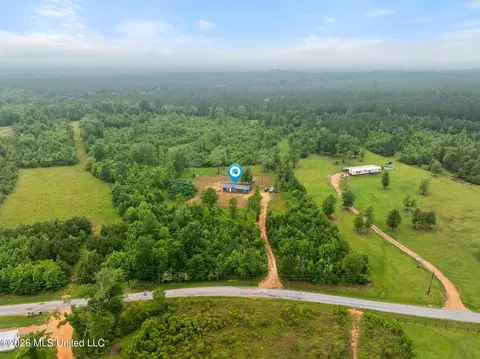 3167 NE Bahalia Rd, Wesson, MS 39191 photo 37