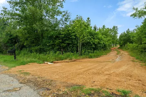 3167 NE Bahalia Rd, Wesson, MS 39191 photo 3
