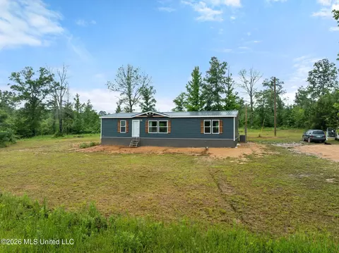 3167 NE Bahalia Rd, Wesson, MS 39191 photo 32