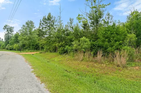 3167 NE Bahalia Rd, Wesson, MS 39191 photo 2