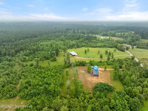 3167 NE Bahalia Rd, Wesson, MS 39191 photo 36
