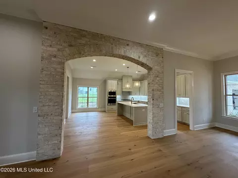 Entry Way - 367 Wellstone Pl, Madison, MS 39110 photo 1 of 2