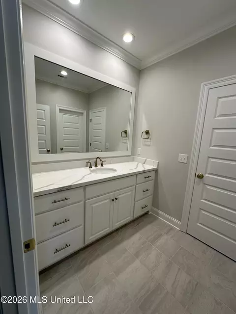 Bath - 367 Wellstone Pl, Madison, MS 39110 photo 7 of 9