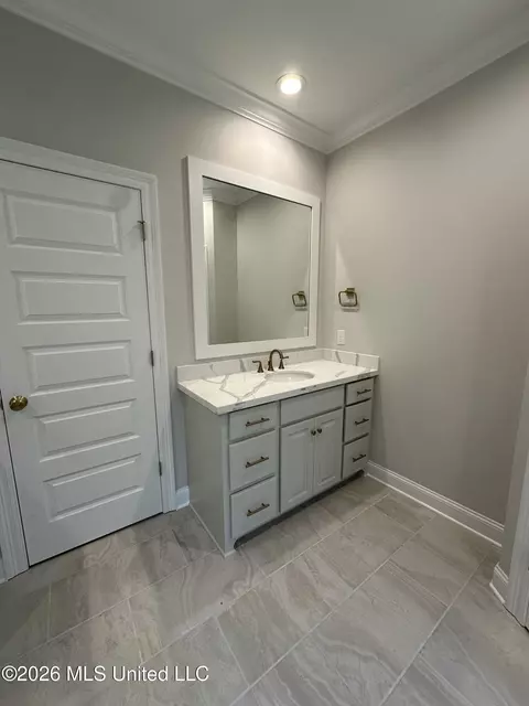 Bath - 367 Wellstone Pl, Madison, MS 39110 photo 6 of 9