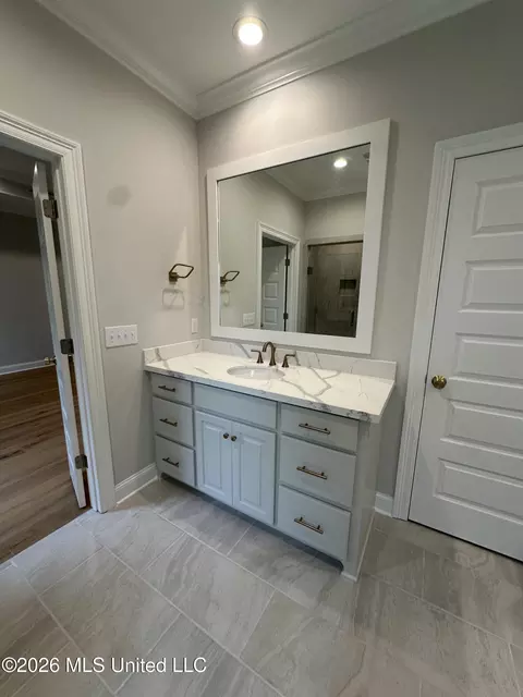 Bath - 367 Wellstone Pl, Madison, MS 39110 photo 5 of 9