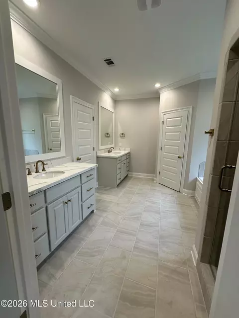 Bath - 367 Wellstone Pl, Madison, MS 39110 photo 1 of 9