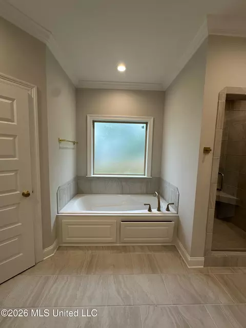 Bath - 367 Wellstone Pl, Madison, MS 39110 photo 3 of 9