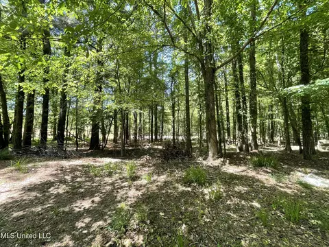 lot4 Chantilly Dr, Madison, MS 39110 photo 3
