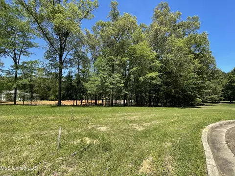 lot4 Chantilly Dr, Madison, MS 39110 photo 4
