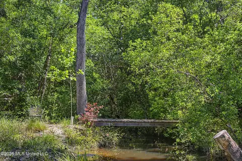 271 Shadeville Rd, Wiggins, MS 39577 photo 38