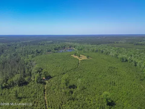 271 Shadeville Rd, Wiggins, MS 39577 photo 3