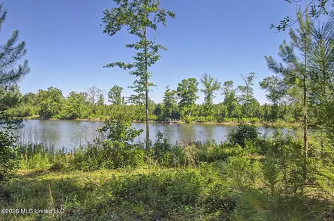 271 Shadeville Rd, Wiggins, MS 39577 photo 34