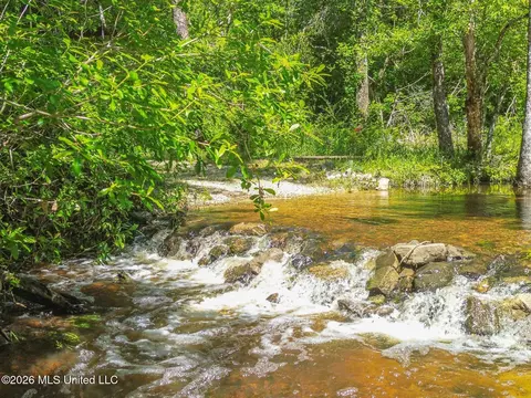 271 Shadeville Rd, Wiggins, MS 39577 photo 8