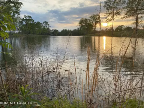 271 Shadeville Rd, Wiggins, MS 39577 photo 30