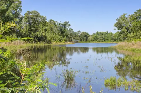 271 Shadeville Rd, Wiggins, MS 39577 photo 35