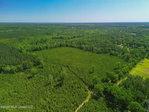 271 Shadeville Rd, Wiggins, MS 39577 photo 5