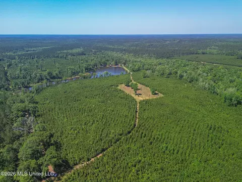 271 Shadeville Rd, Wiggins, MS 39577 photo 6