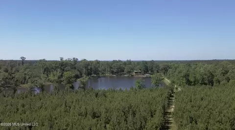 271 Shadeville Rd, Wiggins, MS 39577 photo 11