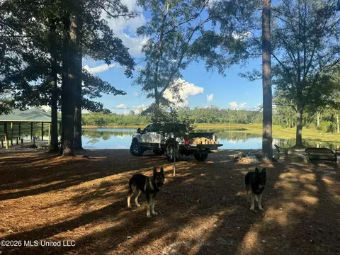 271 Shadeville Rd, Wiggins, MS 39577 photo 43