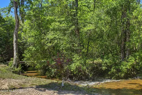 271 Shadeville Rd, Wiggins, MS 39577 photo 36