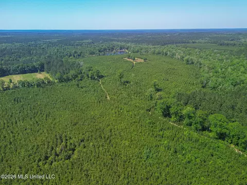 271 Shadeville Rd, Wiggins, MS 39577 photo 4