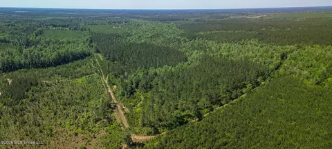 271 Shadeville Rd, Wiggins, MS 39577 photo 7