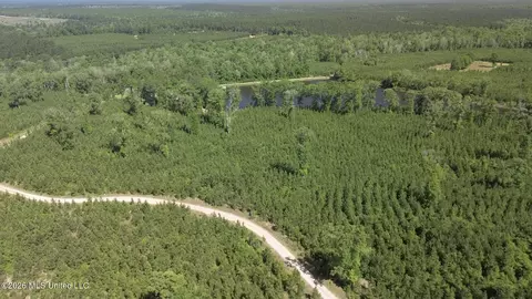 271 Shadeville Rd, Wiggins, MS 39577 photo 10