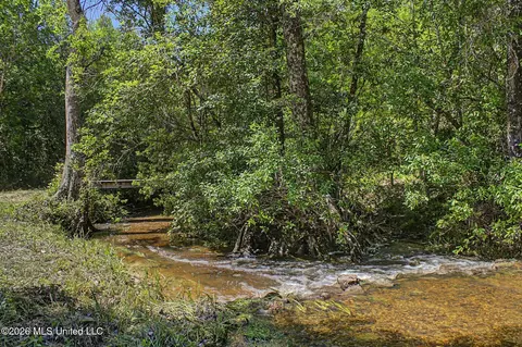 271 Shadeville Rd, Wiggins, MS 39577 photo 37