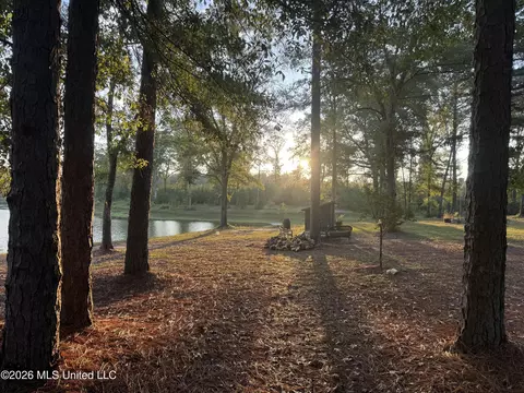 271 Shadeville Rd, Wiggins, MS 39577 photo 44