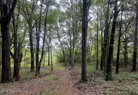 107 Cherrydale Dr, Coldwater, MS 38618